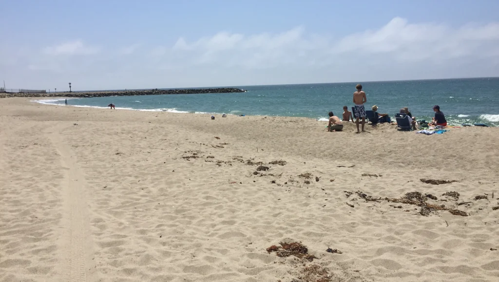 Victoria Silverstrand Victoria Silverstrand