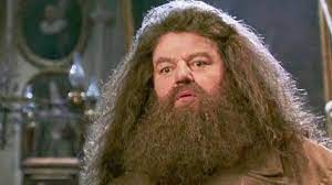 Morto Hagrid Morto Hagrid